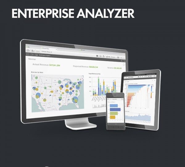 Enterprise Analyzer